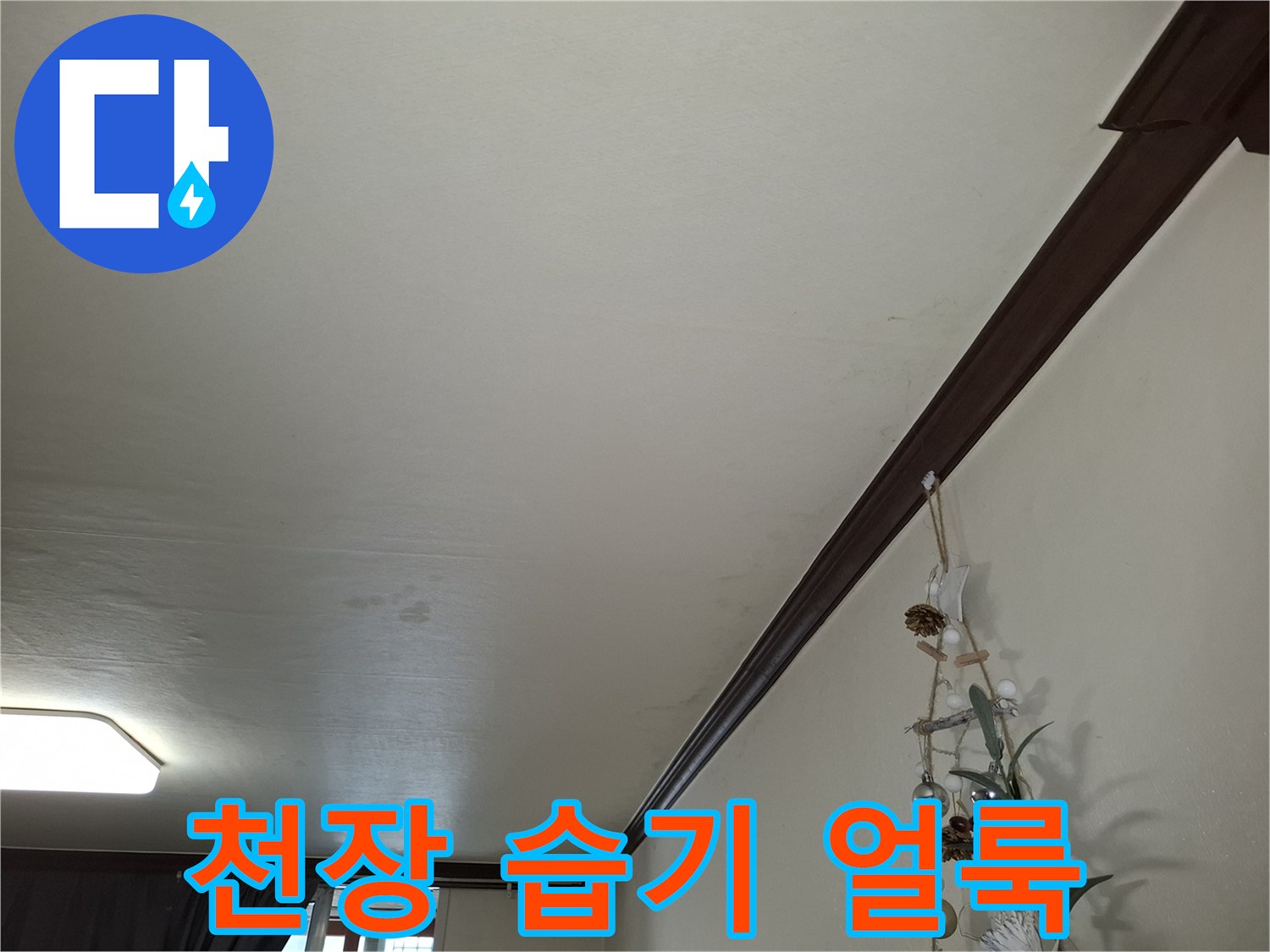 거실 천장 마감재의 누수 흔적과 변색 부위
