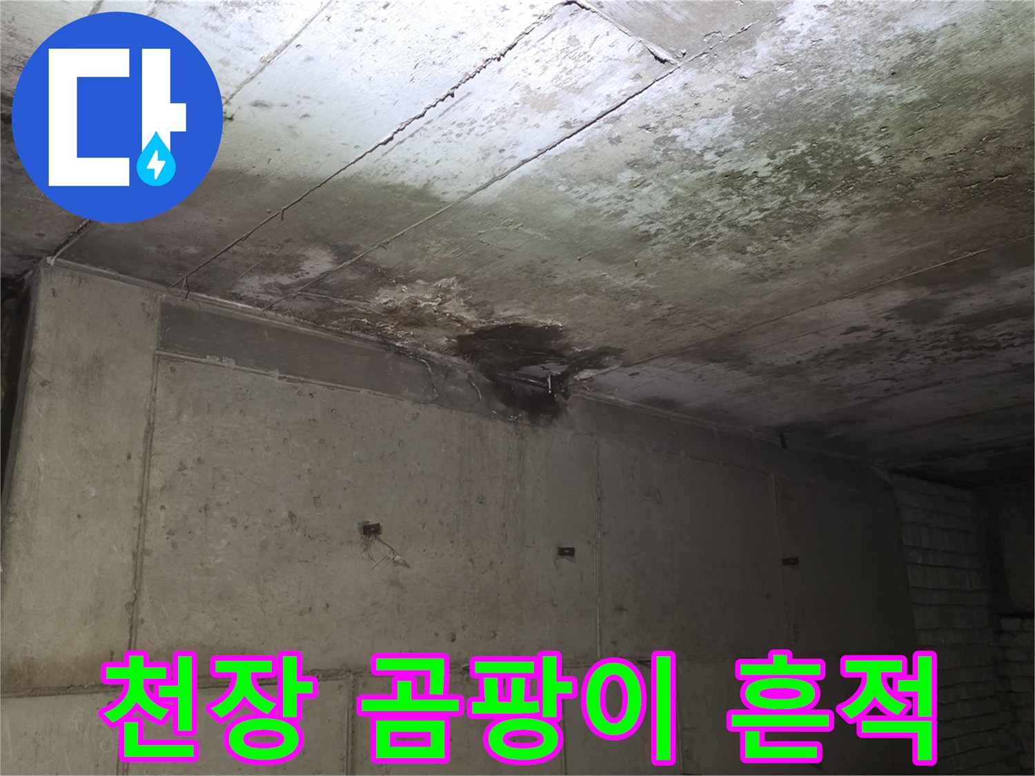 분당-상가-매장-천장-곰팡이-및-습기-발생