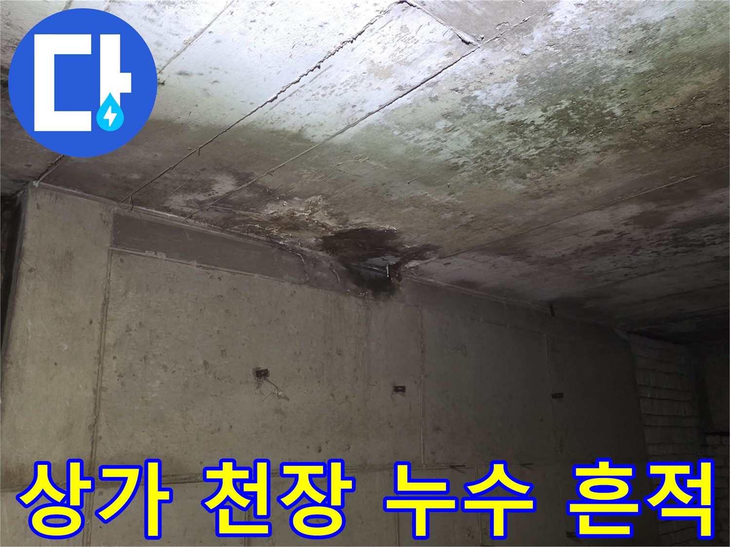 분당-수내동-상가-천장-슬래브-물샘-흔적