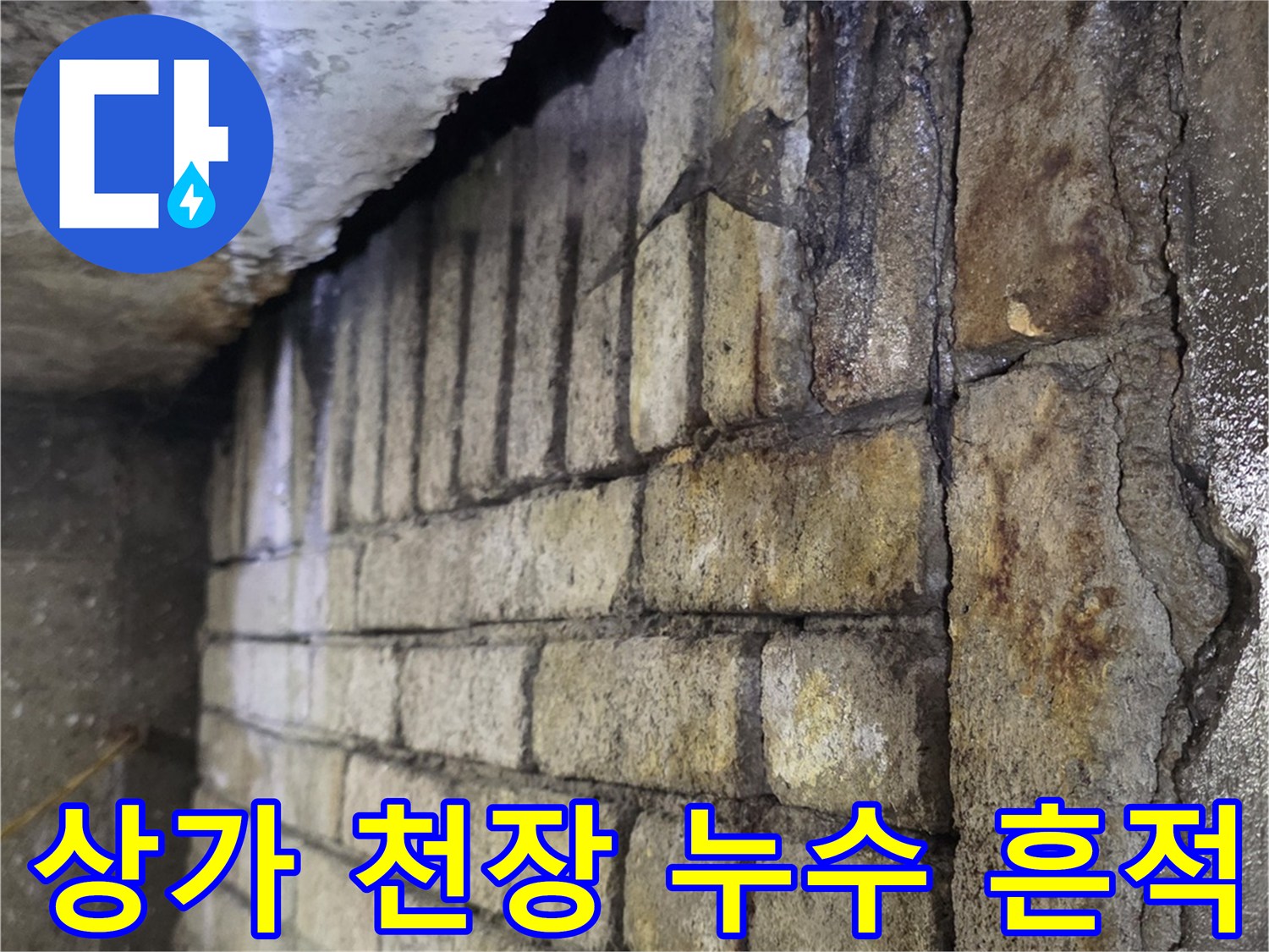 분당 수내동 상가-천장 슬래브 습기 침투 현상