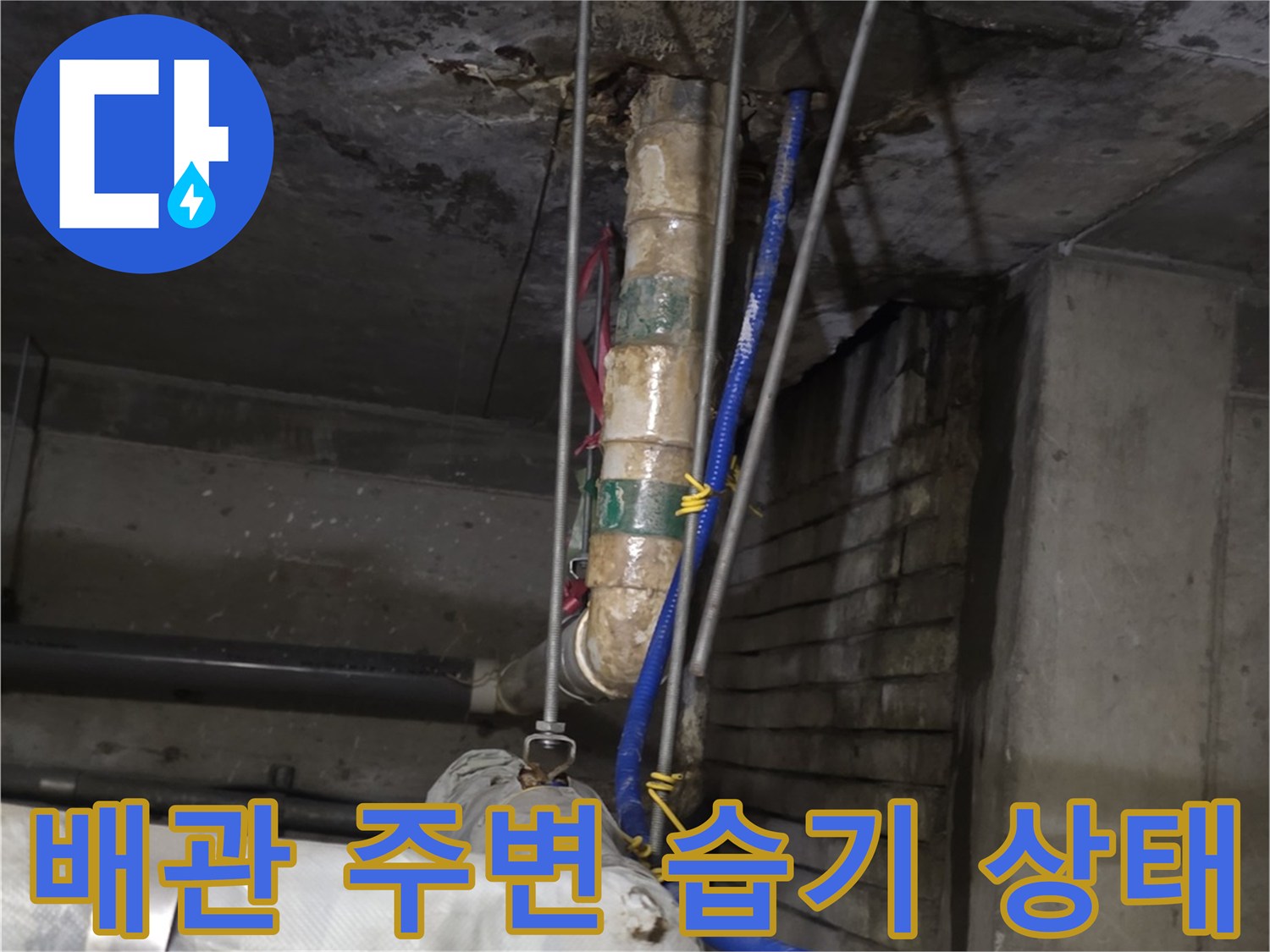 상가-천장-내부-배관-주변-습기-및-오염
