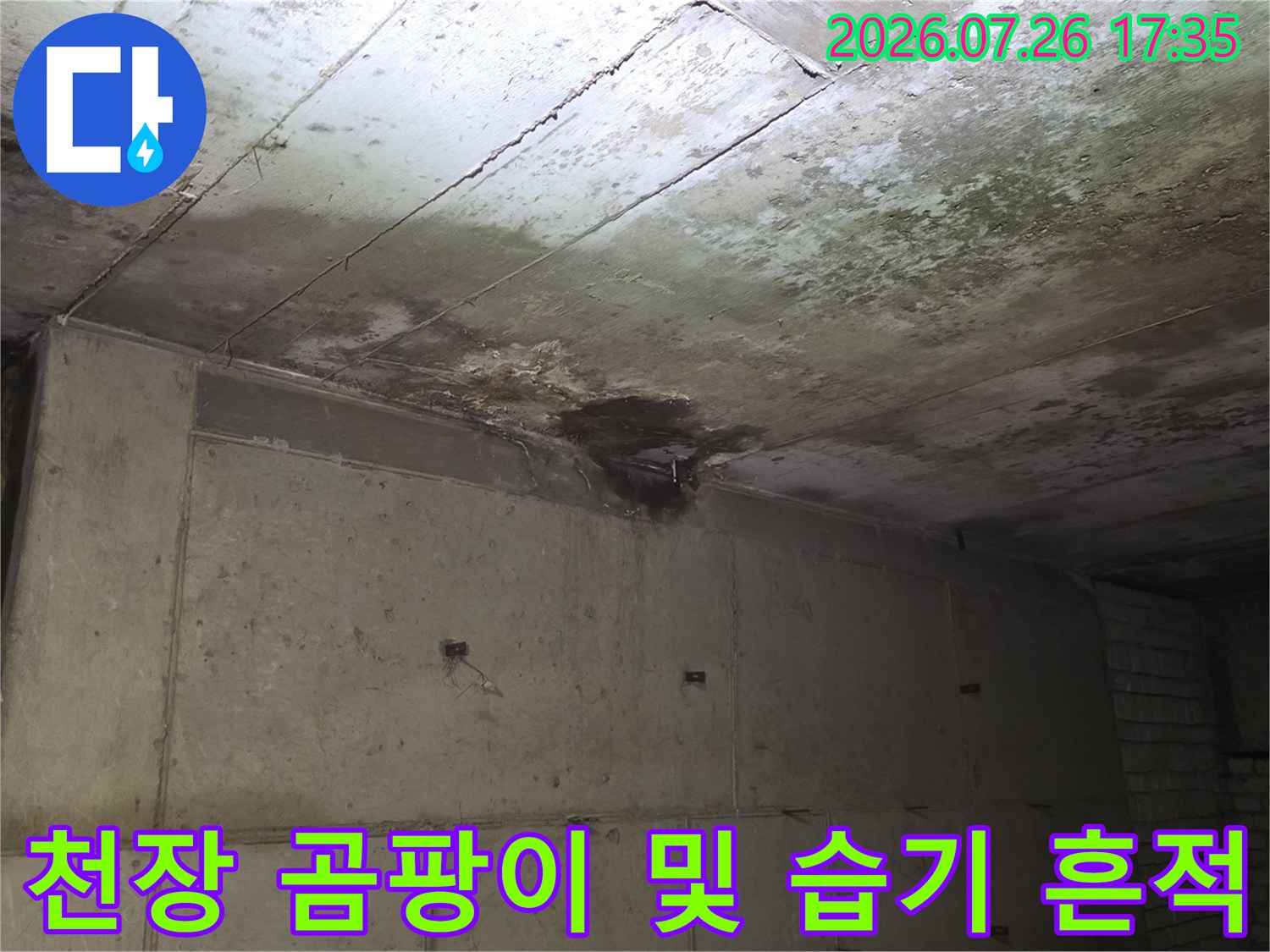 콘크리트-천장에-물기가-고여-있고-검은-곰팡이가-퍼져있는-모습