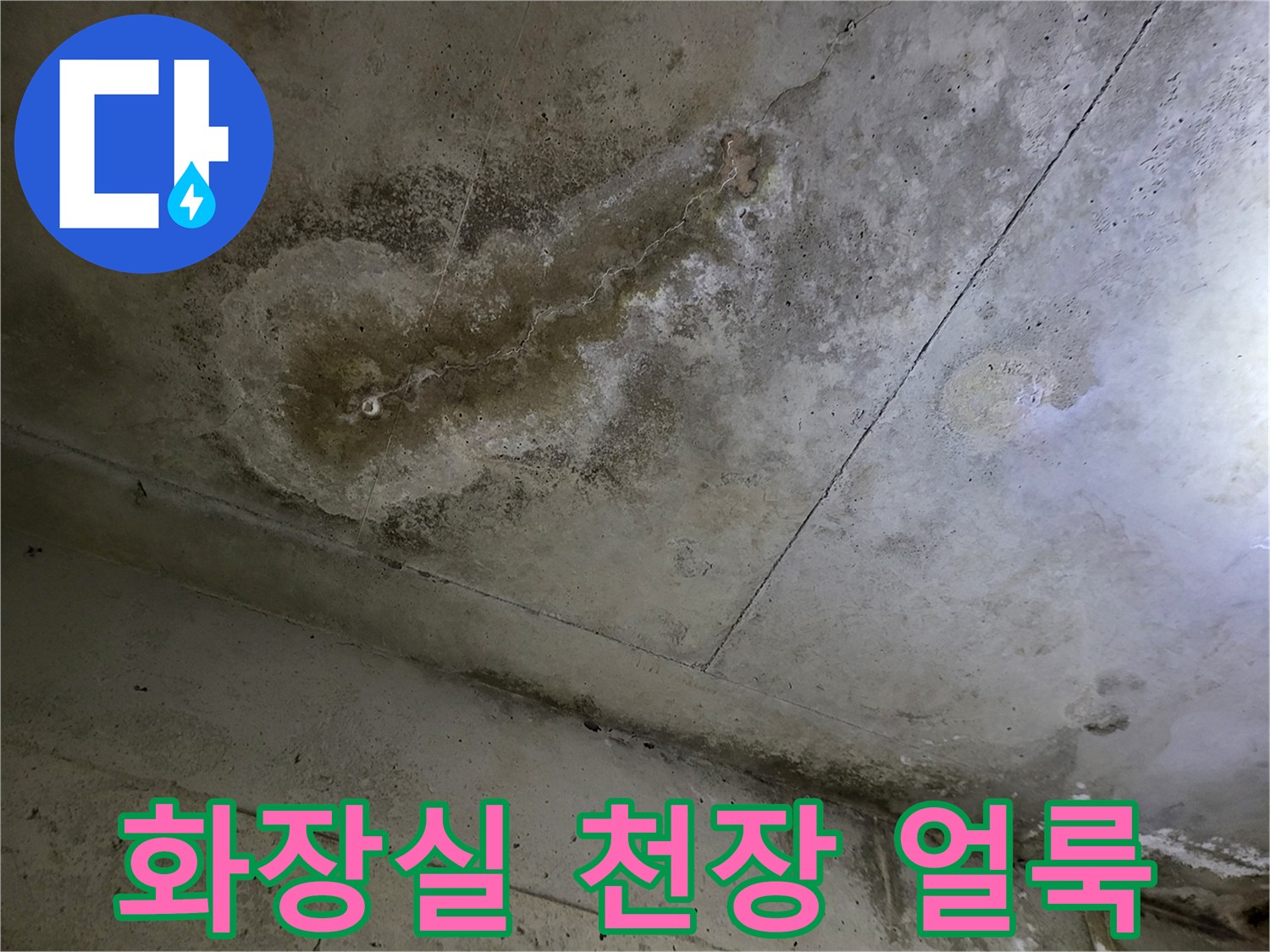 부천 중동 화장실 천장-배수구 주변 누수 흔적