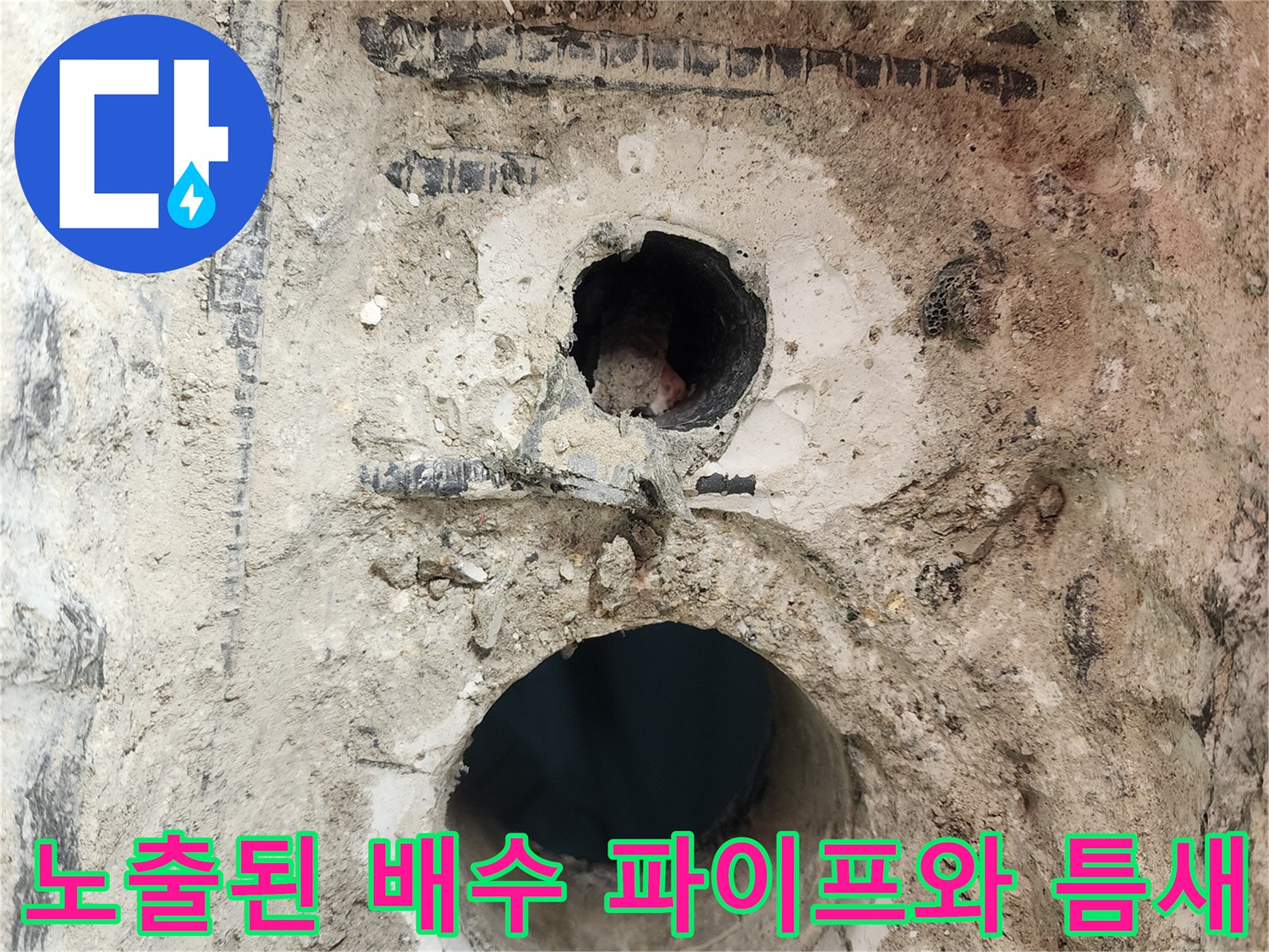 굴착을-통해-드러난-배수-파이프-연결부의-빈틈