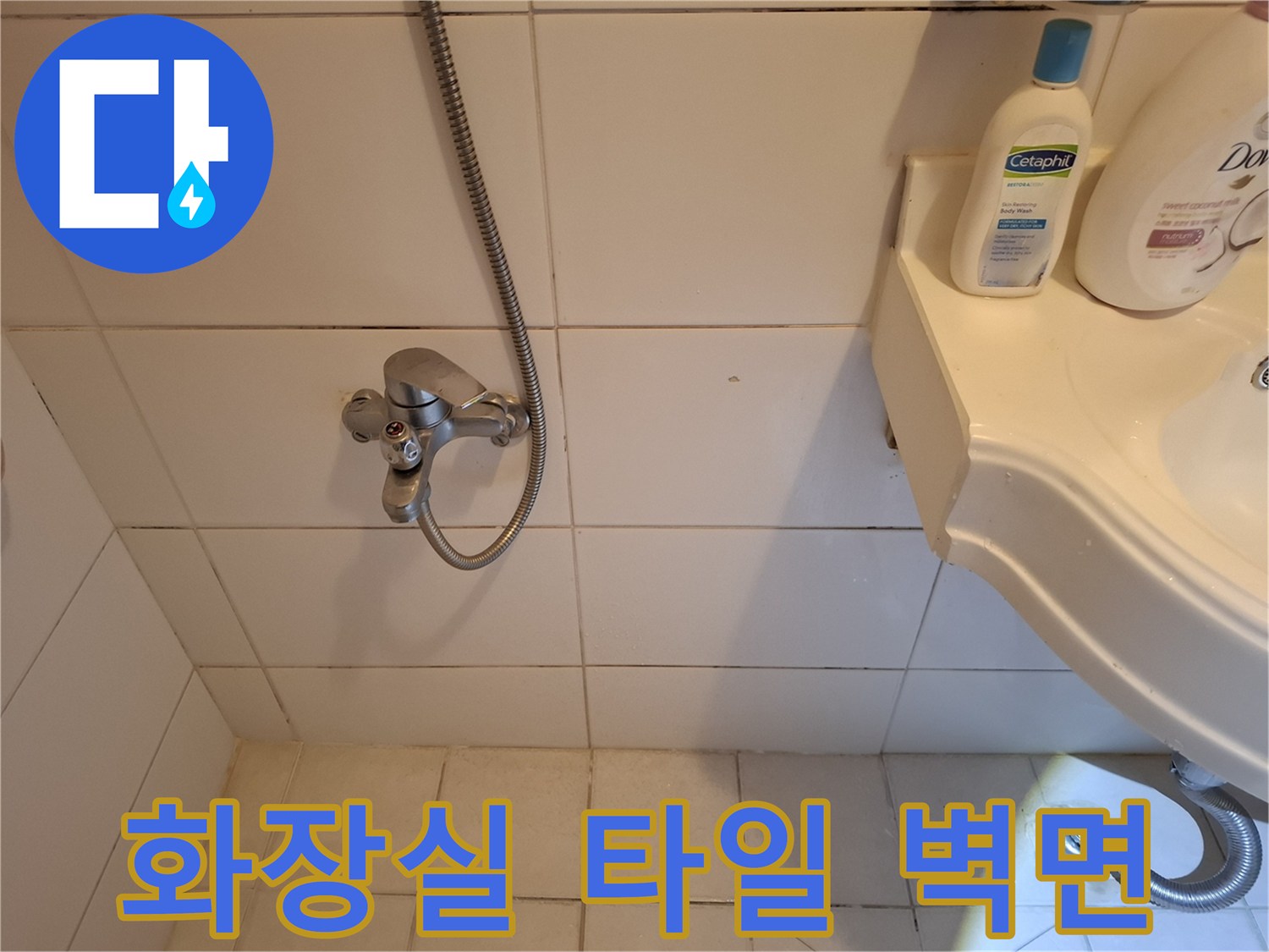송파구-화장실-타일-틈새-상태-점검