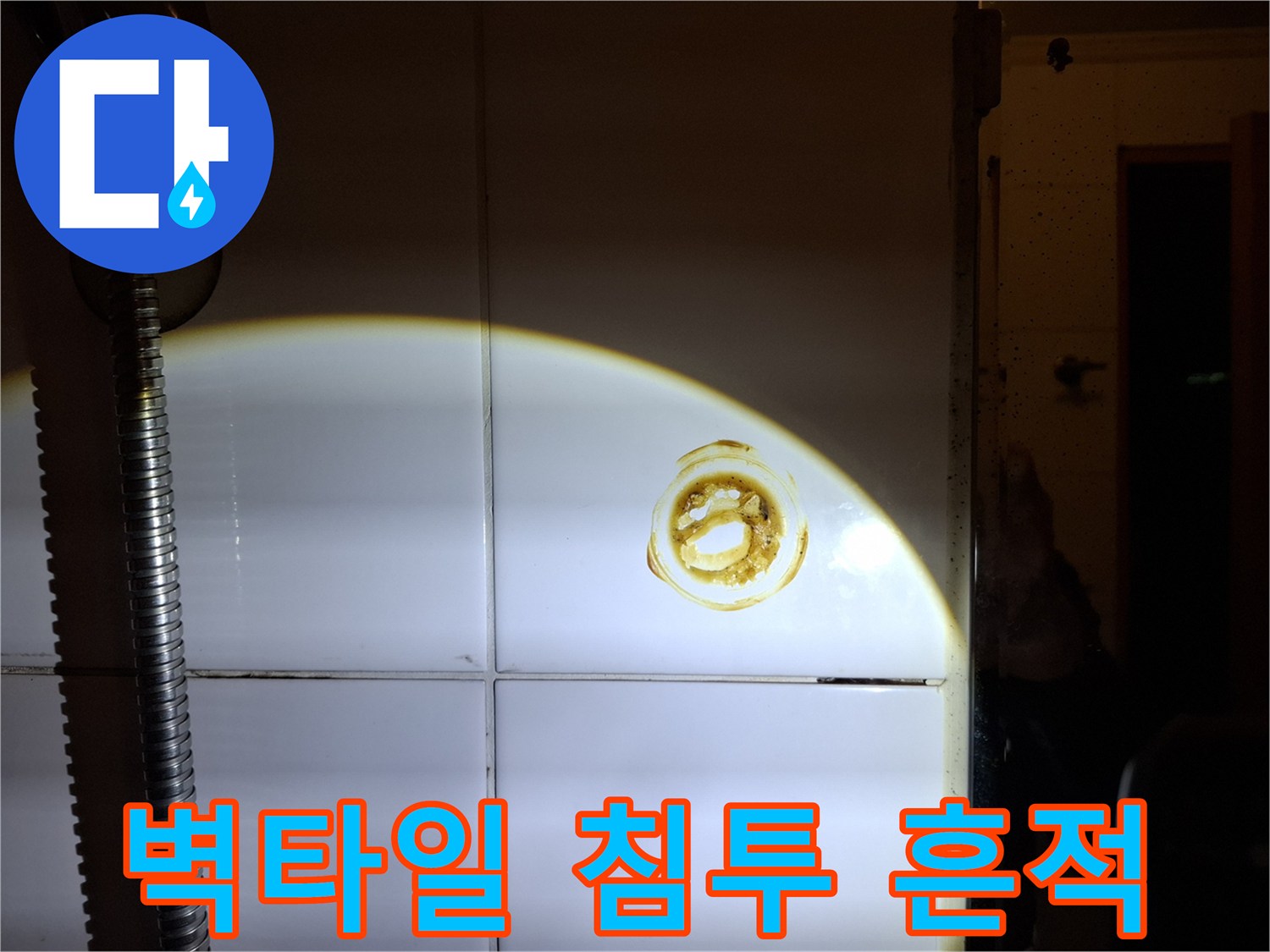 습기에-의한-타일-줄눈-오염-부위