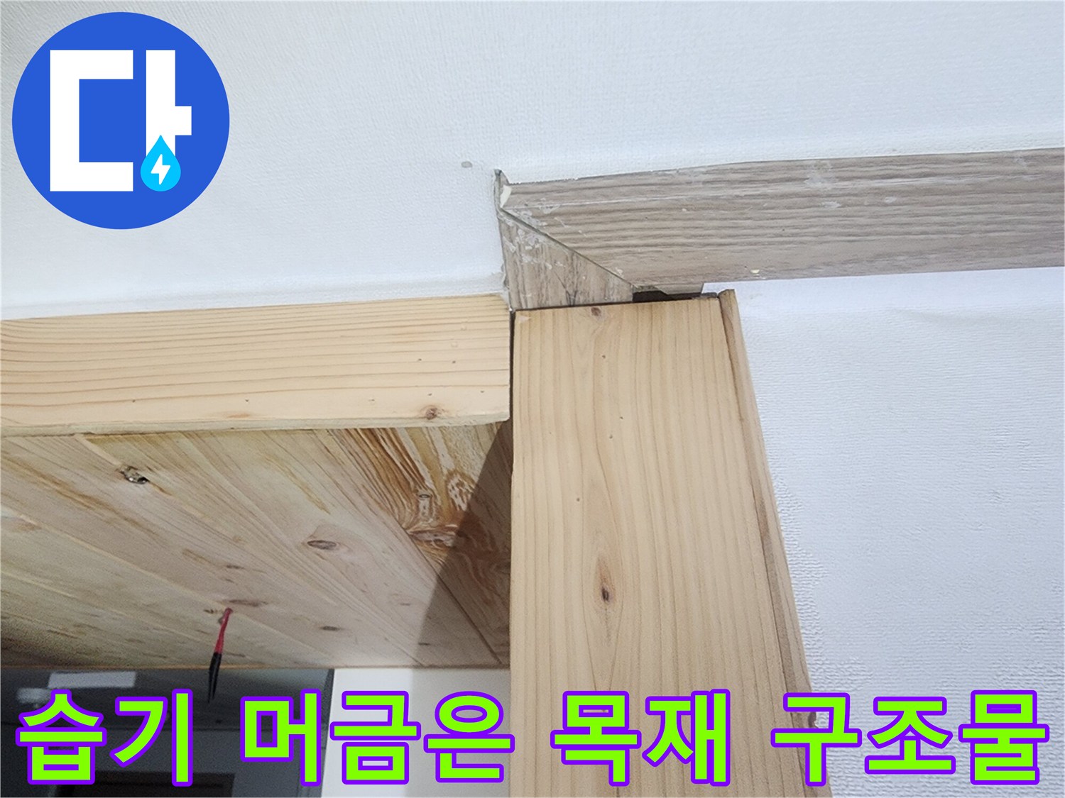 천장-목재-프레임-및-몰딩-습기-침투-상태