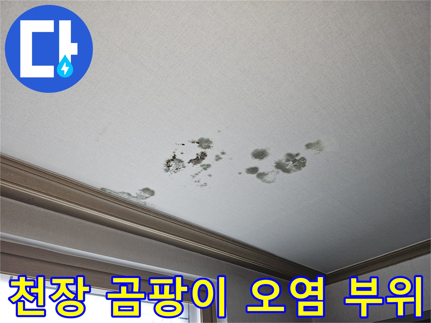 거실 천장 마감재에 발생한 검은색 곰팡이와 물자국
