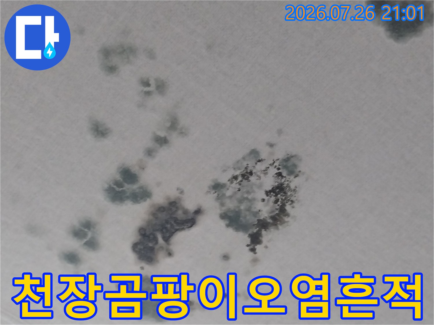 거실 천장에 번진 곰팡이와 누수로 인한 변색 부위