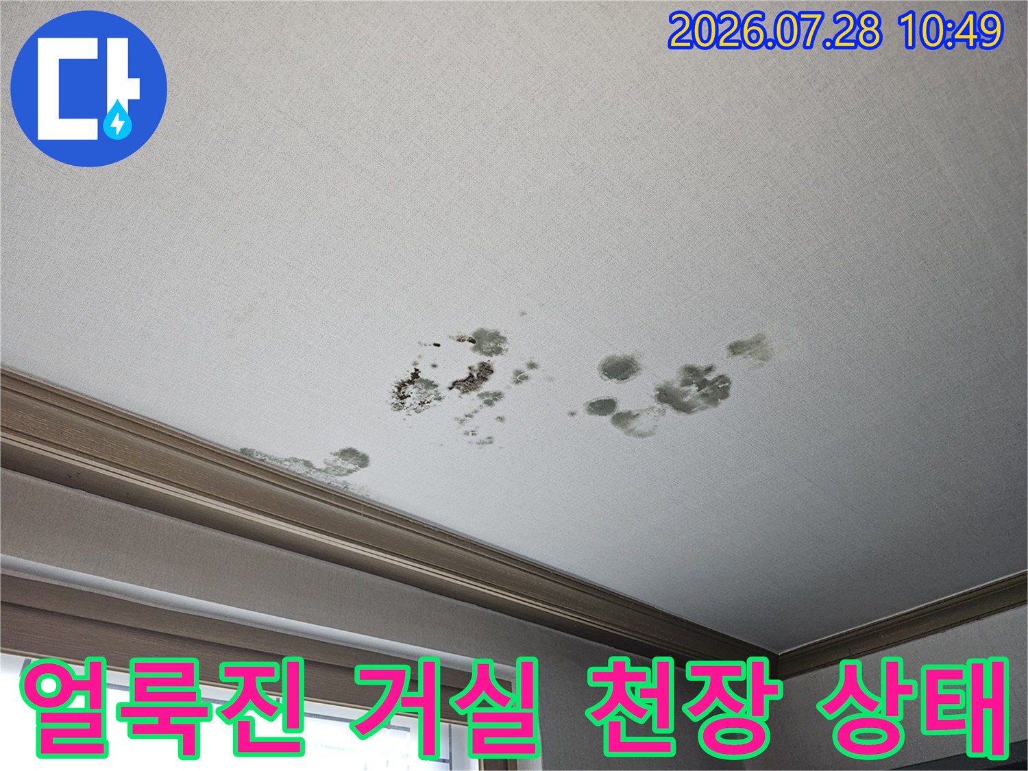 곰팡이가 번진 흰색 천장 마감재 모습