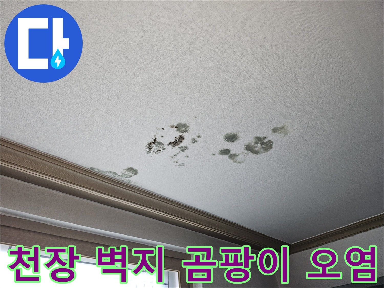 동탄-상가주택-거실-천장-벽지-누수-피해-모습