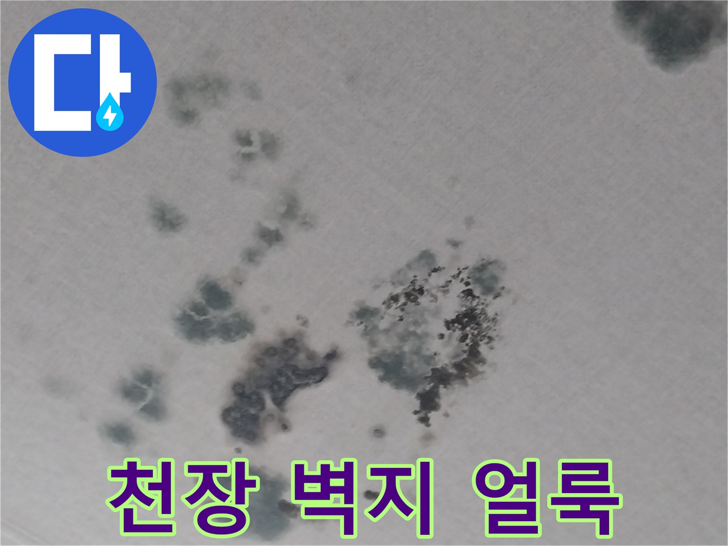 상가주택-2층-거실-천장-벽지-누수-흔적