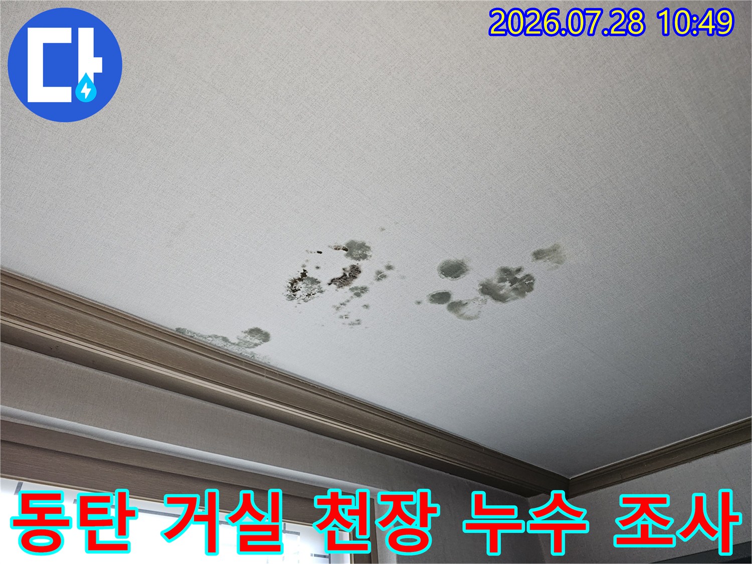 어두운 색의 곰팡이와 물자국이 섞인 천장 표면