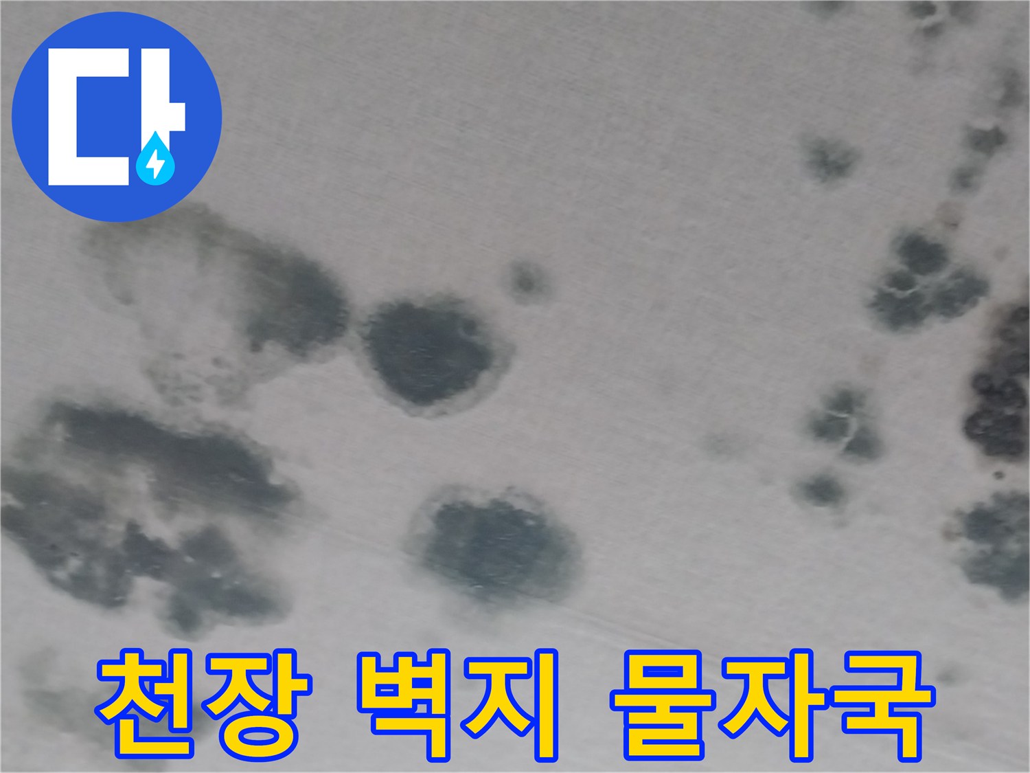 화성 동탄 상가주트 천장 벽지 누수 얼룩 사진
