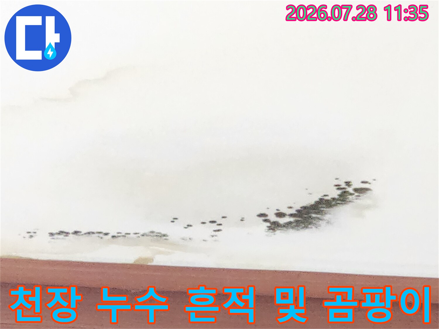 거실 천장의 물자국과 습기로 인한 오염 상태