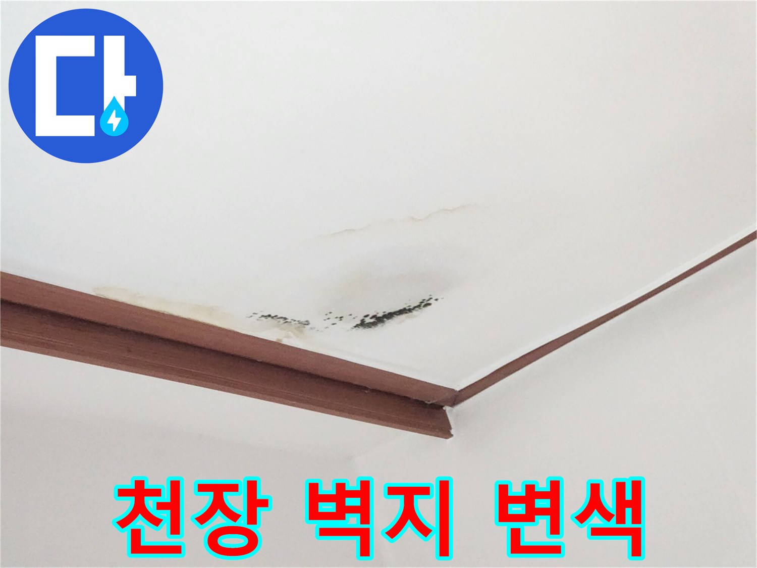 아랫집-거실-천장-벽지-변색-및-습기-상태