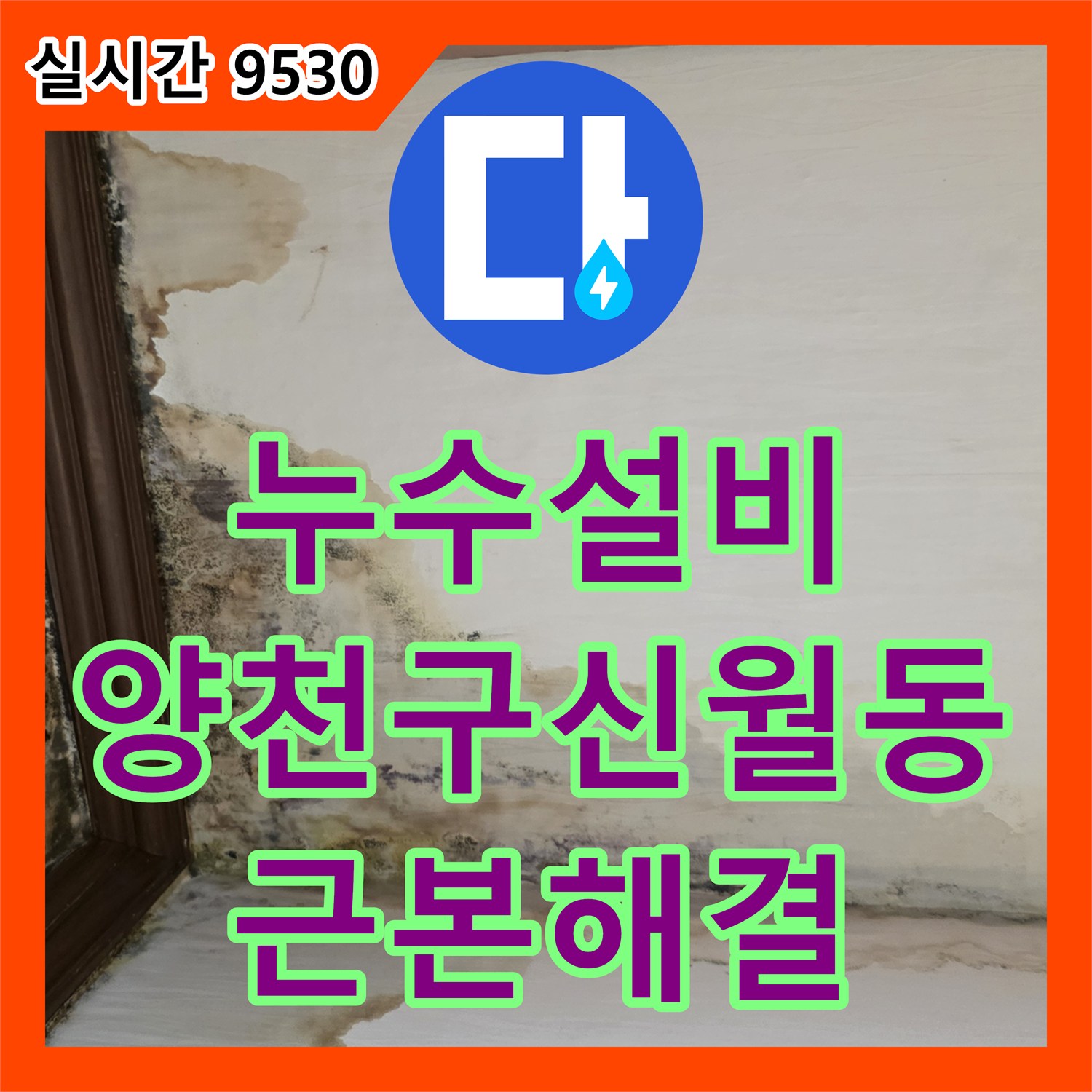 누수설비 천장 접합부의 습기와 곰팡이 문제를 근본적으로 해결한 서울 양천구 신월동 작업 일지