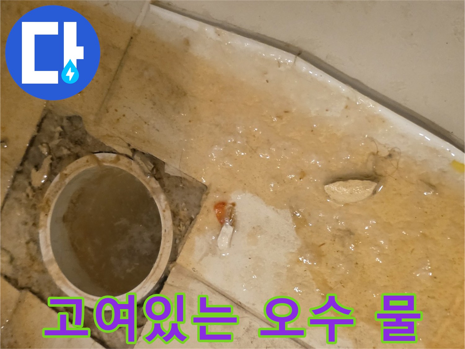배관 입구에 찰랑하게 고인 오수-역류 문제 발생