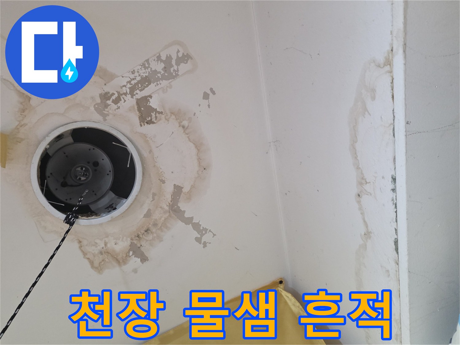 송파구 상가주택-1층 천장 누수 얼룩 사진