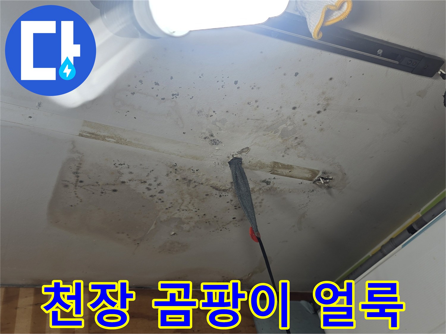 습기로 인해 발생한 천장 곰팡이와 물자국