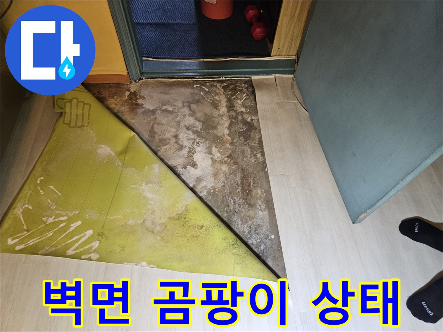 곰팡이가 발생한 벽면의 내부 모습