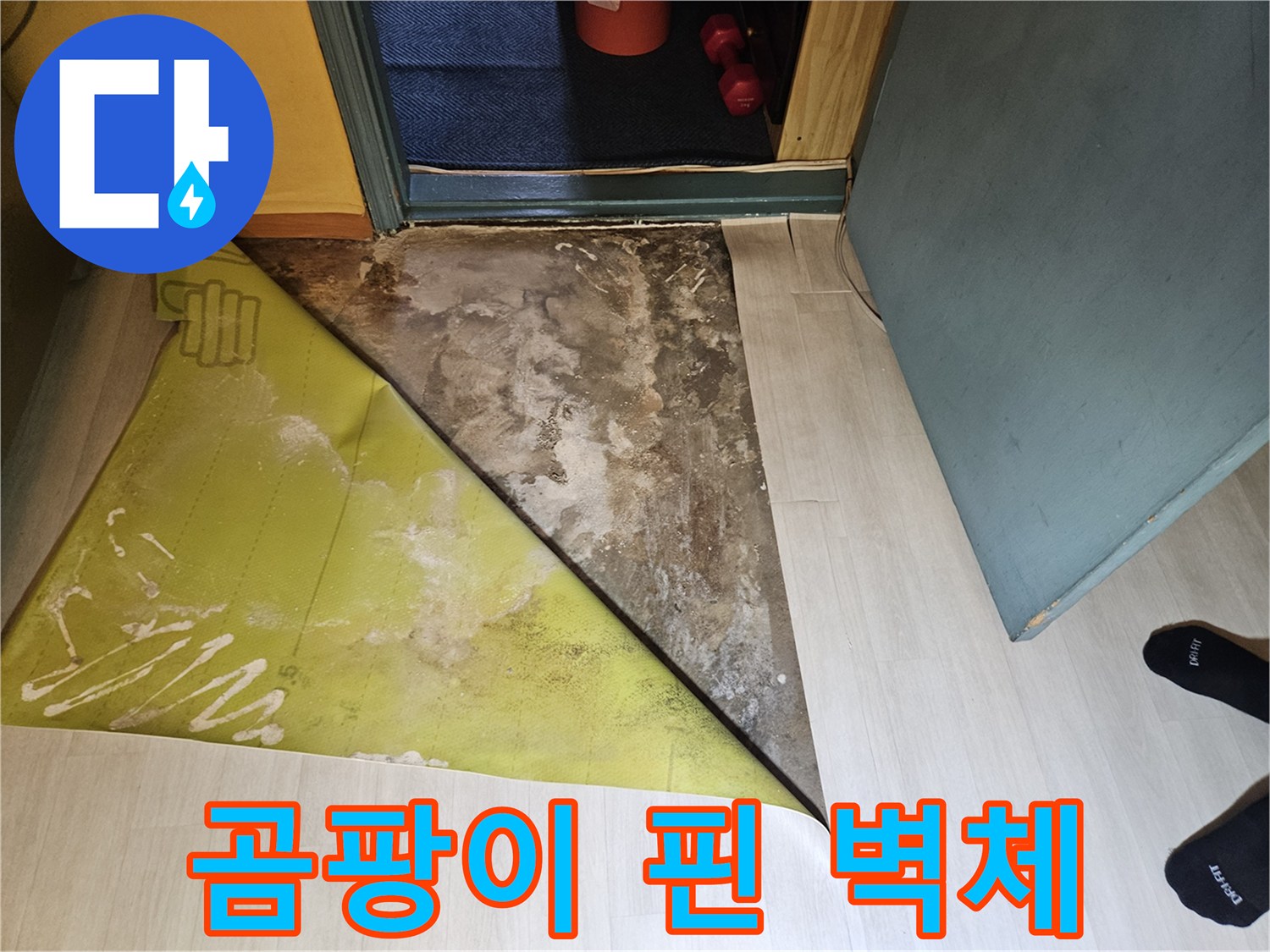 누수로 인해 오염된 벽지 안쪽 모습