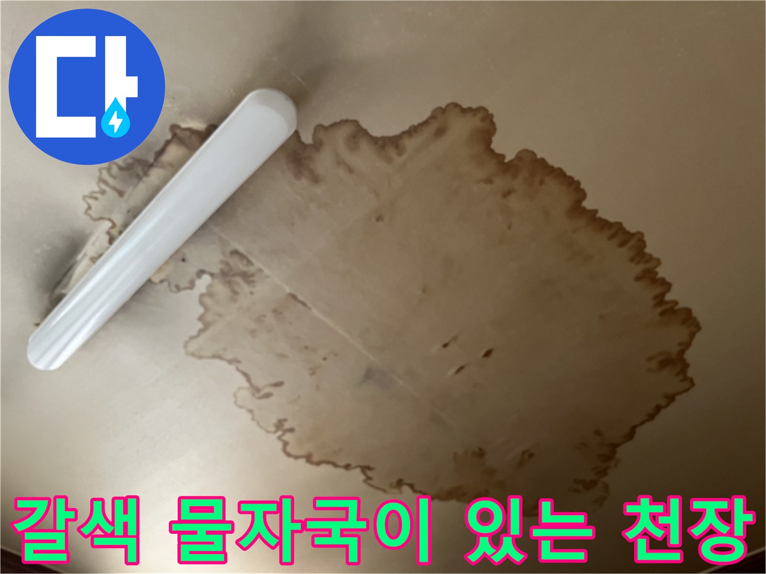 천장 도배지에 넓게 퍼진 갈색의 누수 변색 부위