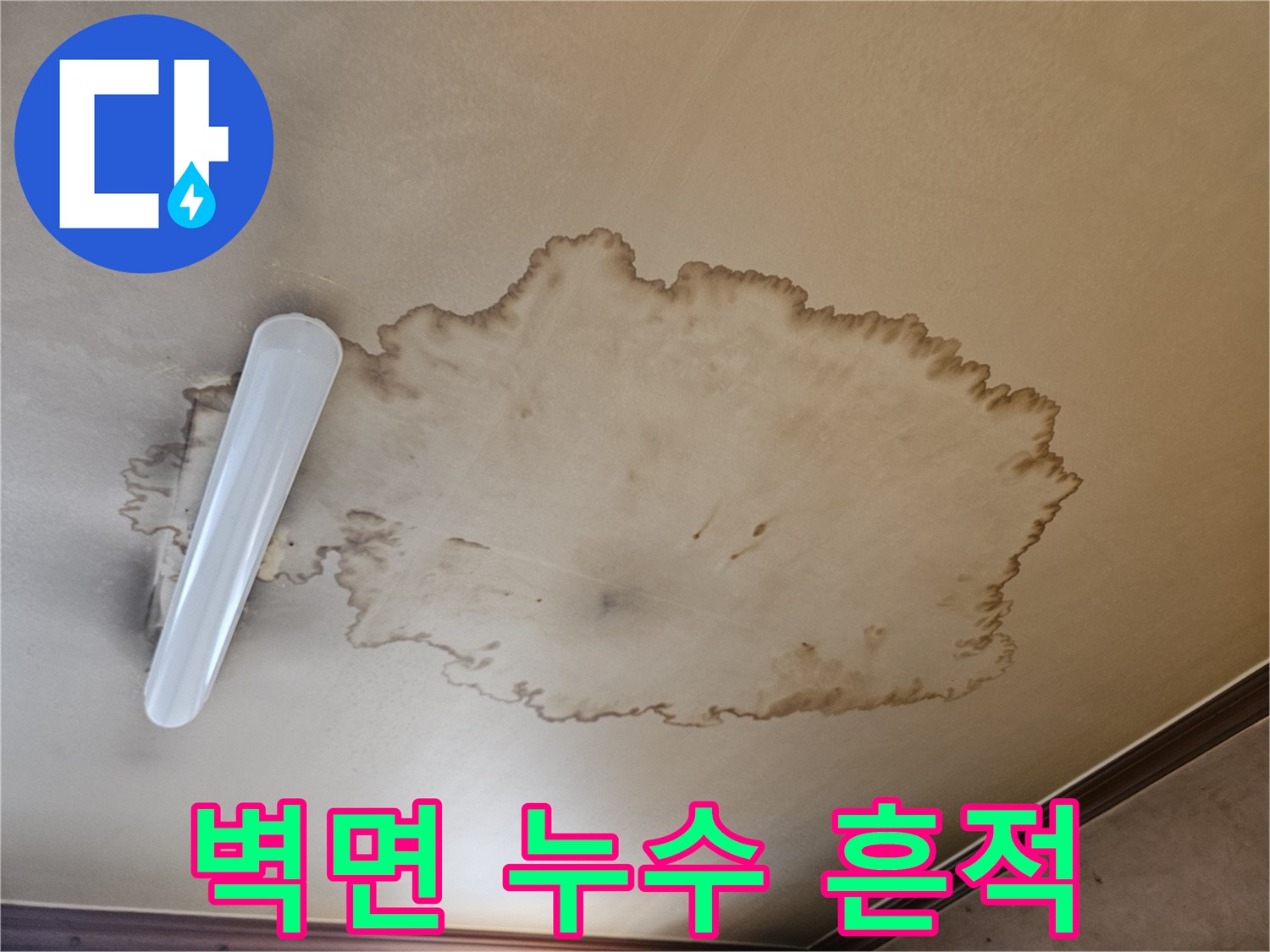 천장 모서리 부근에 발생한 짙은 갈색의 변색 부위