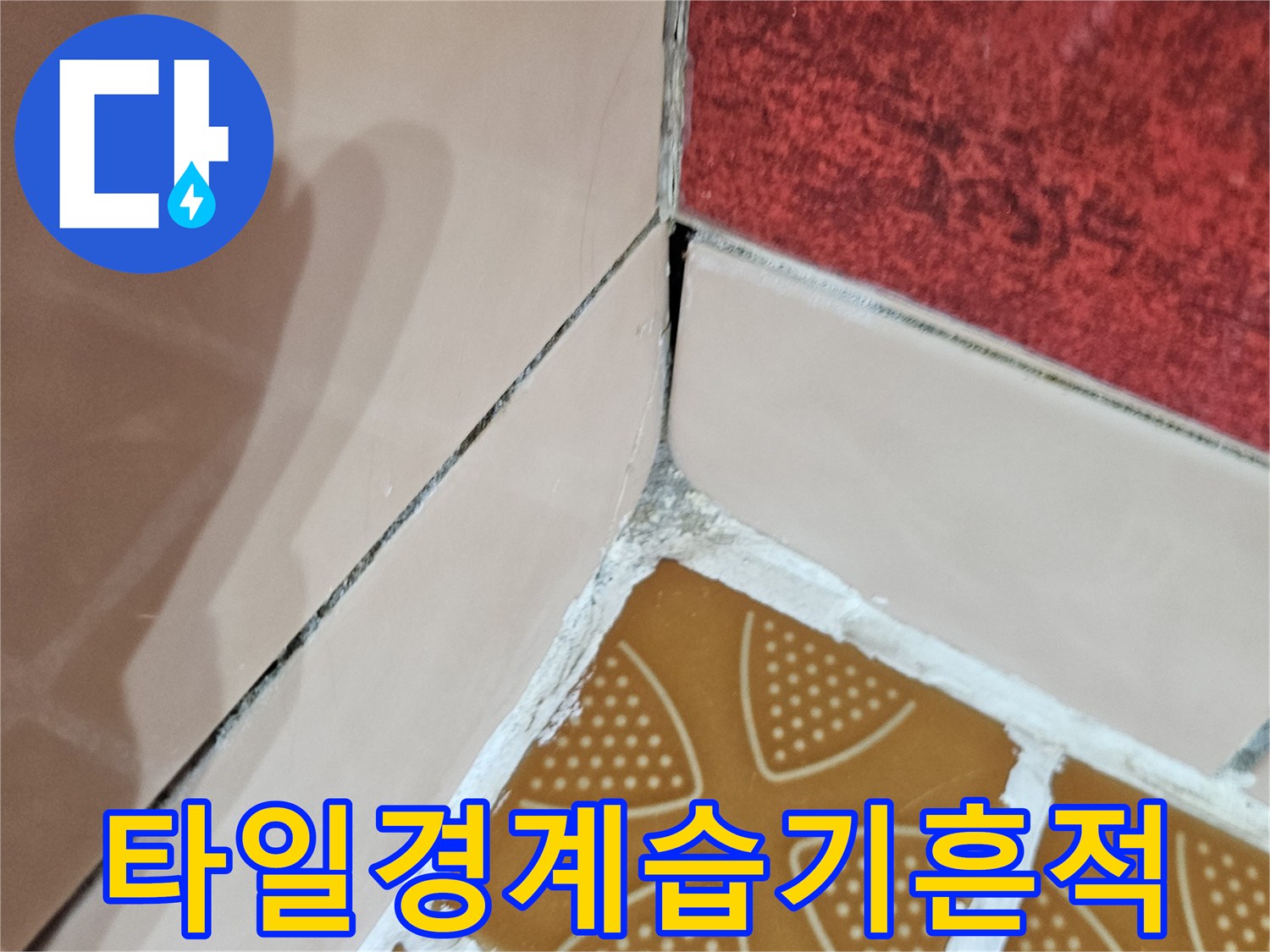 타일-및-벽면-접합부의-물샘_증상