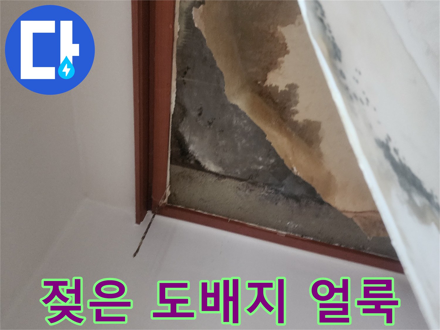 물에 젖어 변색된 천장 마감재