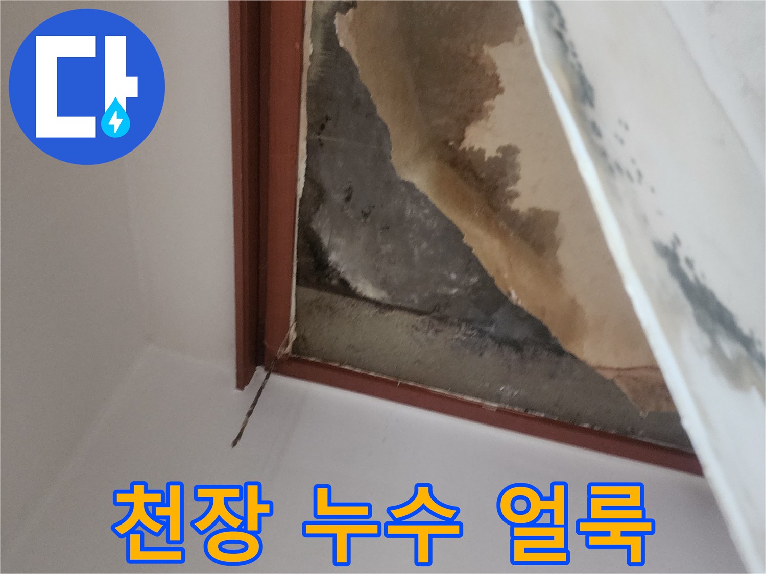 아래층 천장-도배지가 젖어 변색된 상태