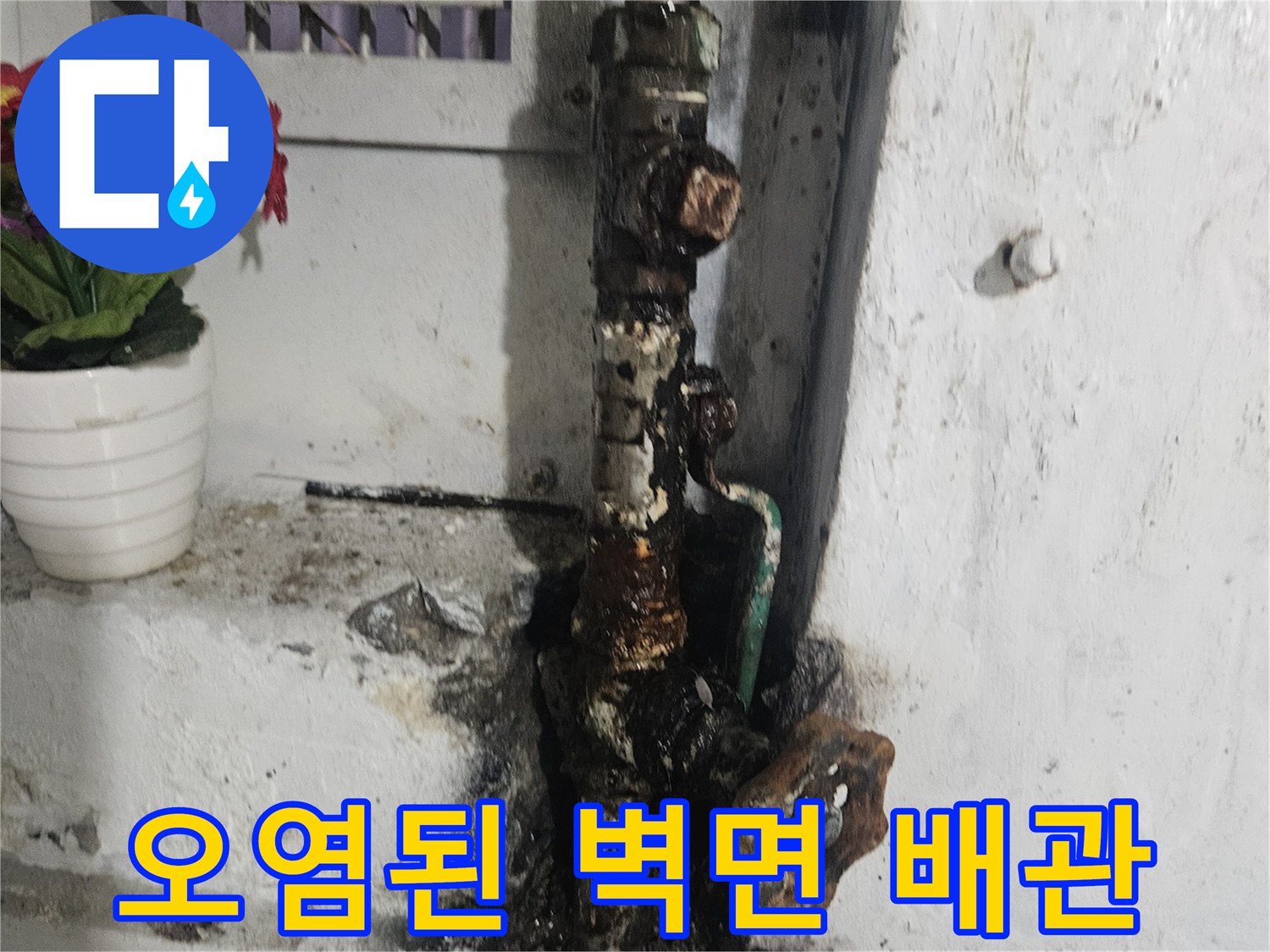 배관 주변의 검은 곰팡이와 부식된 금속 부품