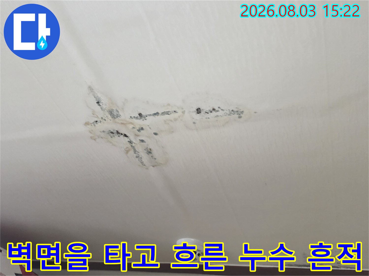 벽체와 천장의 경계면에 발생한 누수 얼룩과 습기