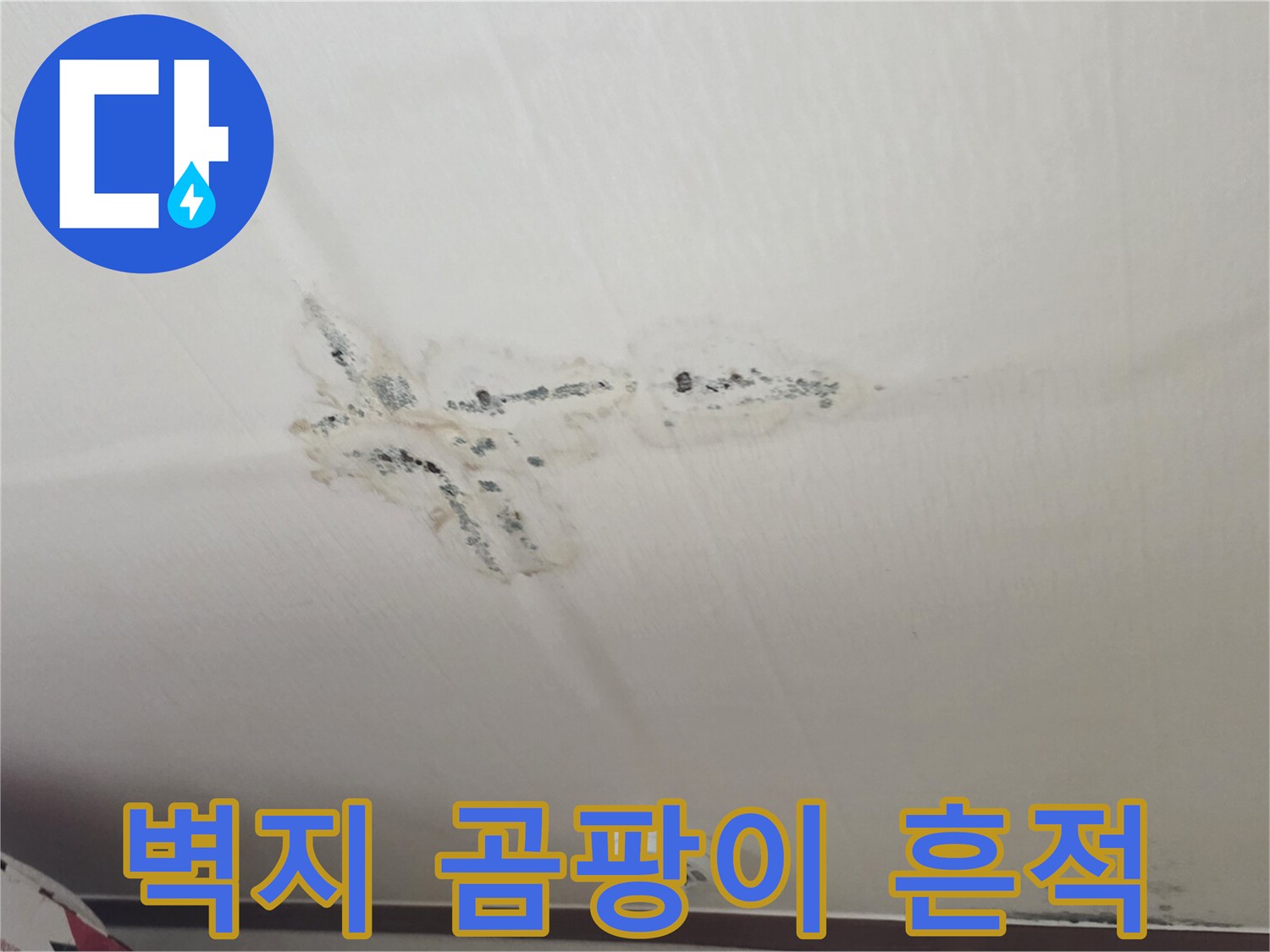흰색 천장지에 나타난 검은색 곰팡이와 습기 자국