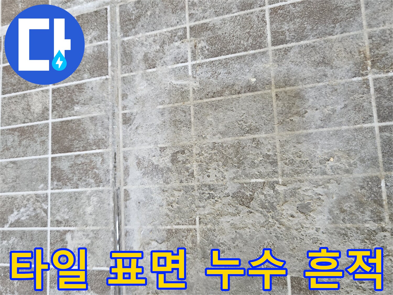 화성 진안동 현장-타일 사이의 젖은 얼룩과 습기 상태