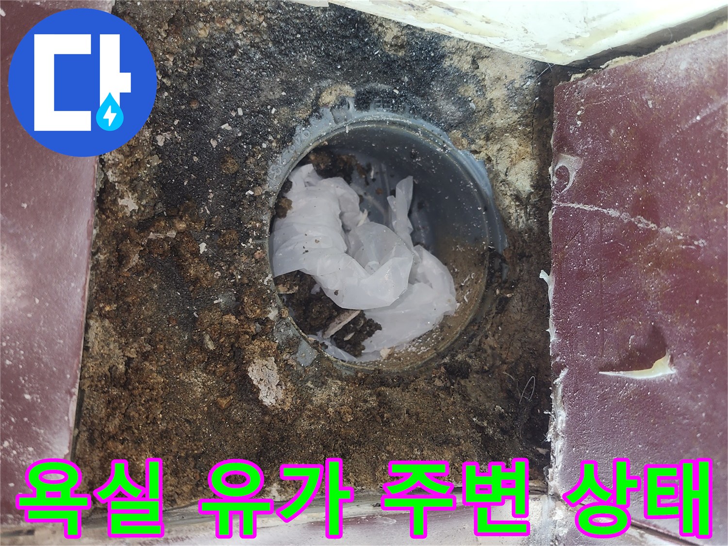 양천구-화장실-배수구-유가-주변-오염-상태