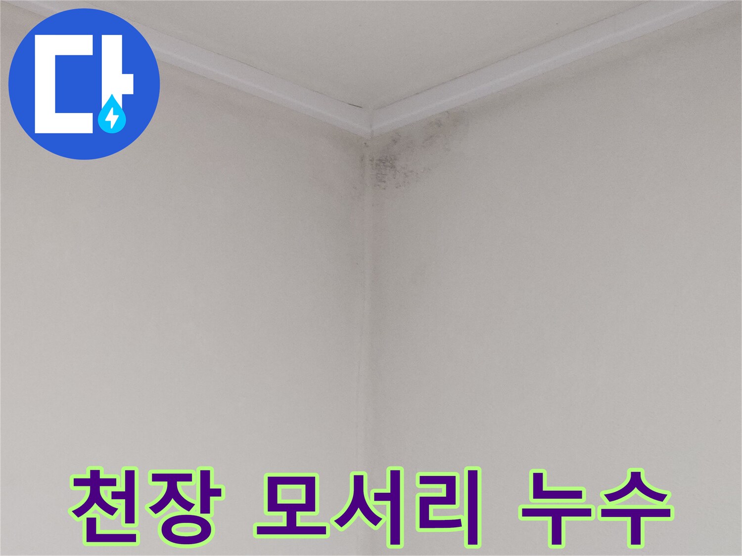 물샘 현상으로 인해 곰팡이가 발생한 천장 구석 부위