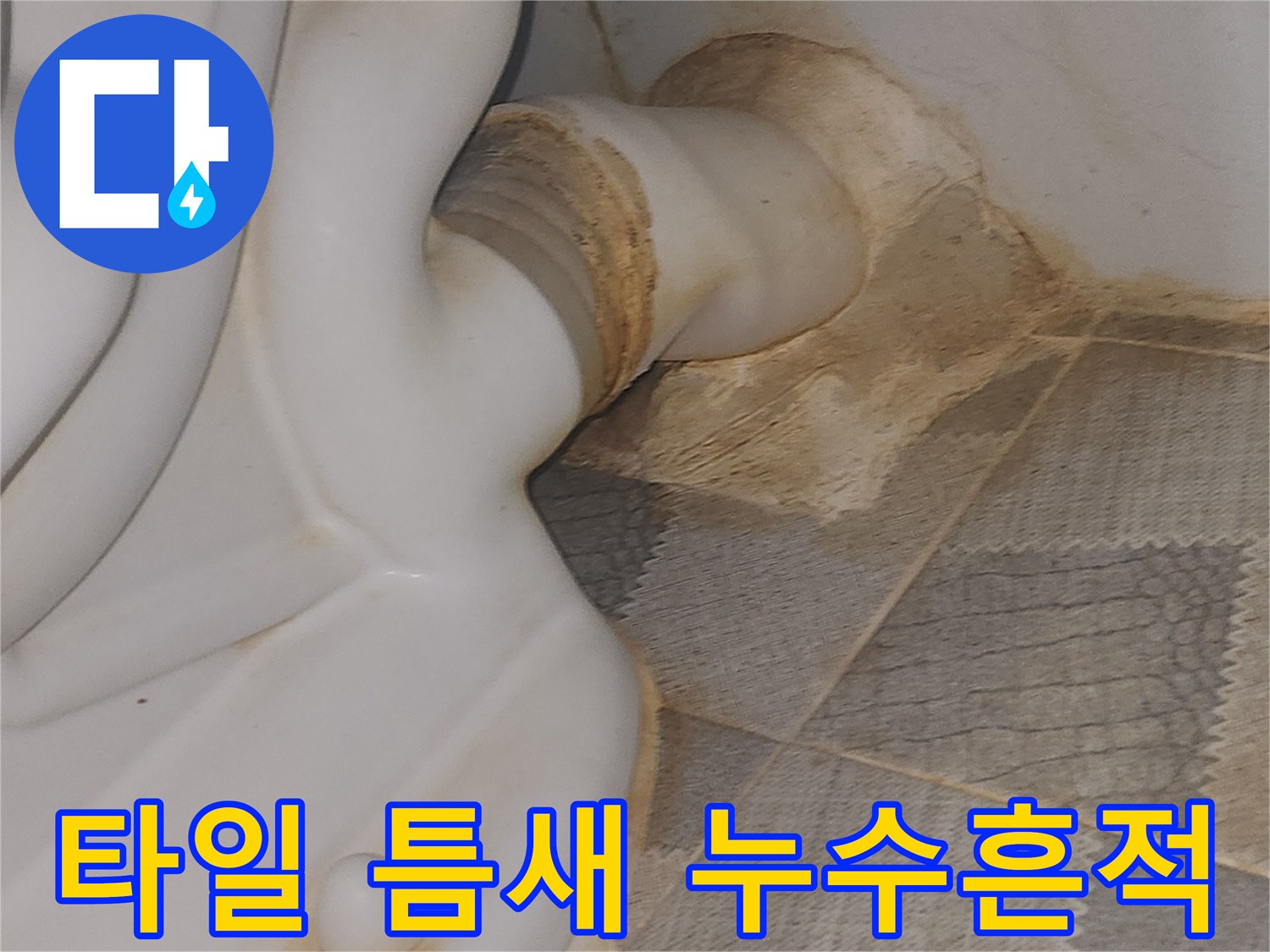 배수구 유가 주변 타일의 누수 오염 상태 확인