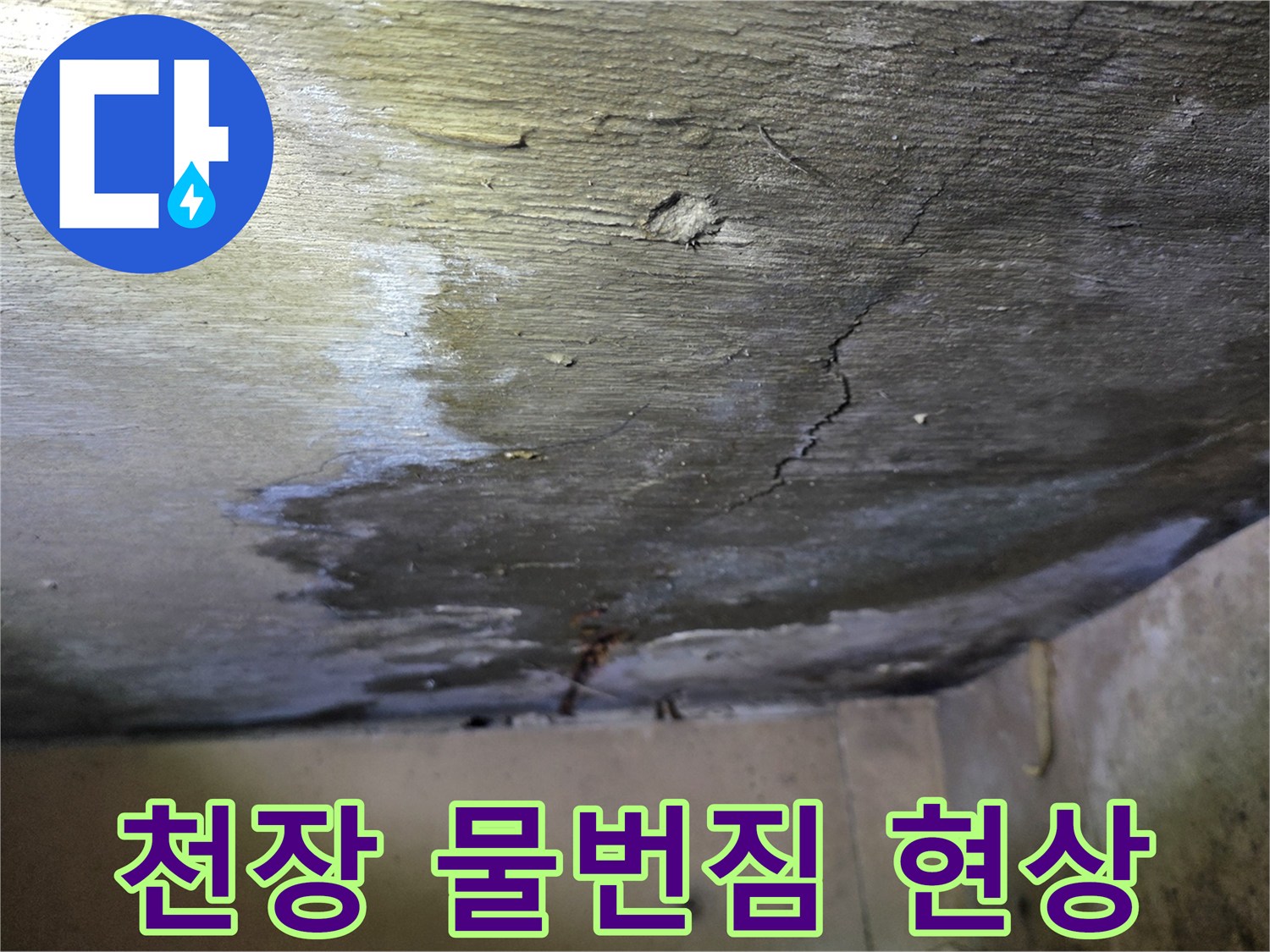 물샘으로 인해 넓게 번진 천장 콘크리트 얼룩과 습기