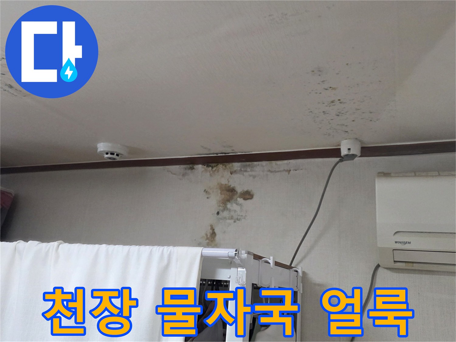 물샘으로 인해 발생한 천장 곰팡이와 변색 부위