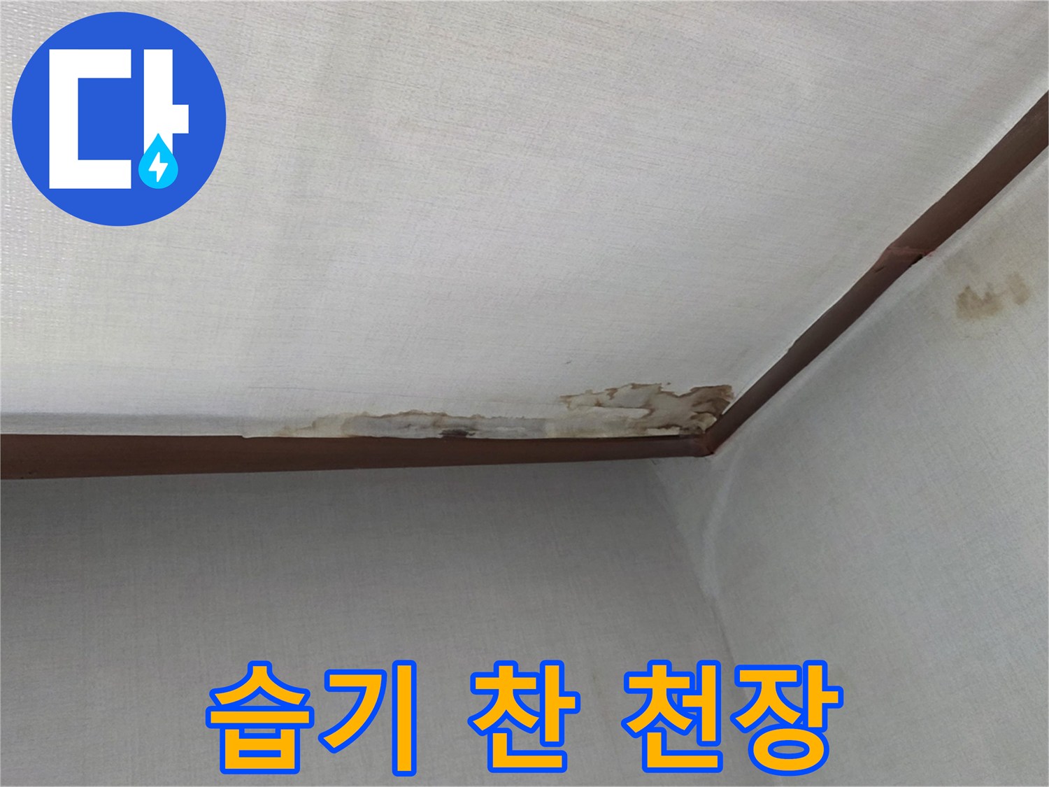 천장-마감재-부위에-발생한-물샘-흔적