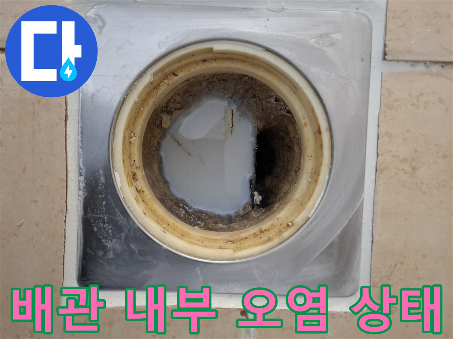 배수구-내부의-이물질과-배관-틈새