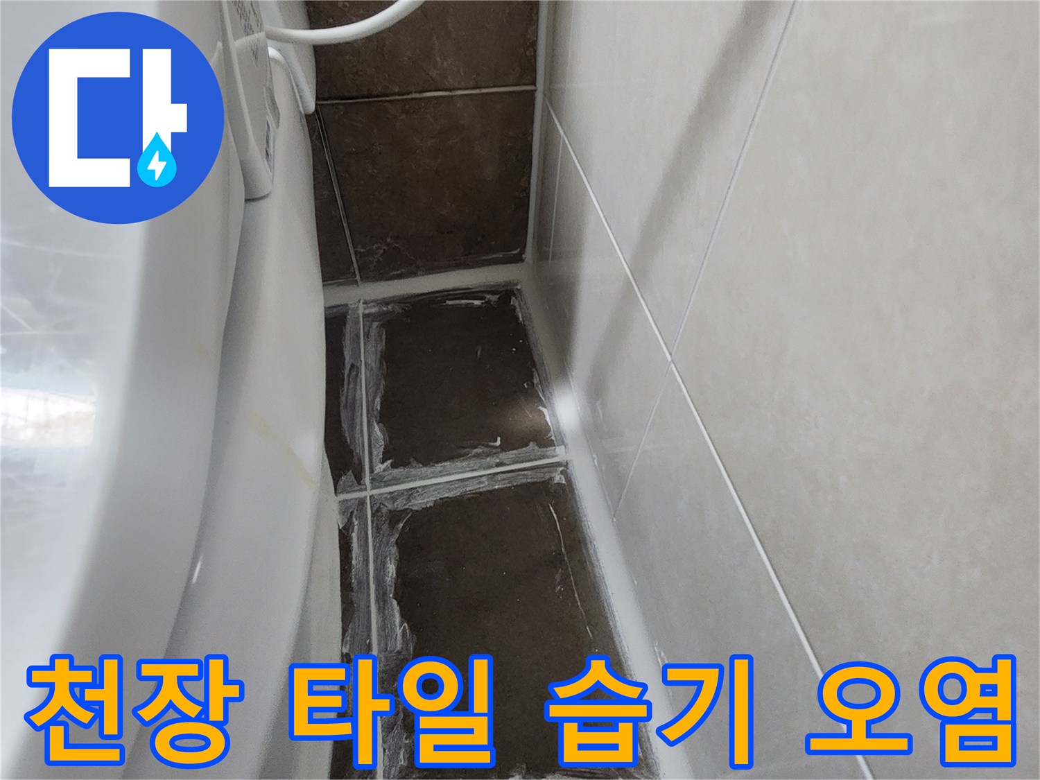 욕실-천장-타일-틈새로-발생한-물때와-습기-상태