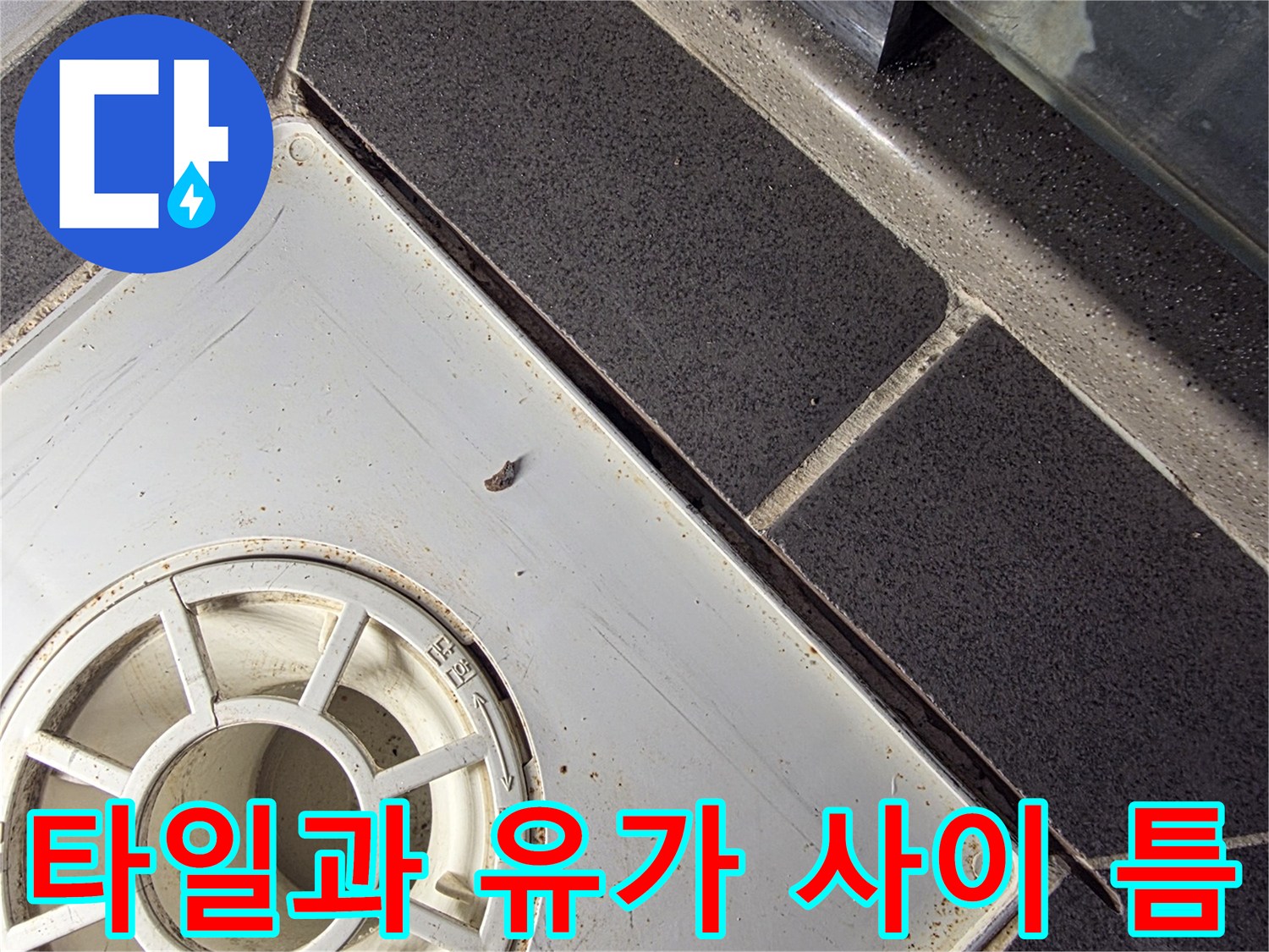 배수구-주변-타일-접합부-균열-상태