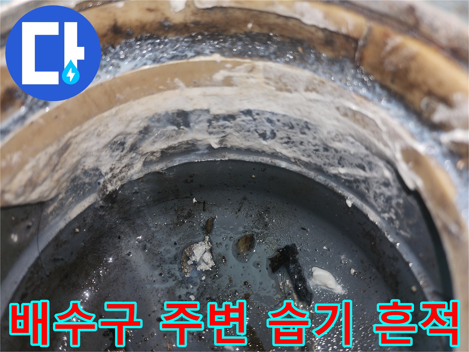 습기가-머금어진-배수구-주변-타일-틈새