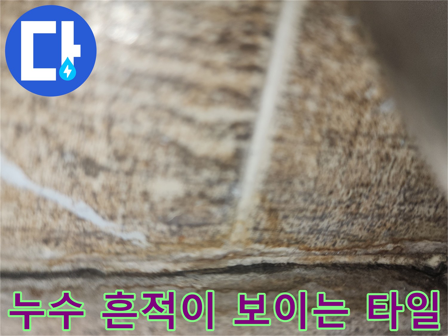 타일 사이로 물이 스며든 현장 사진