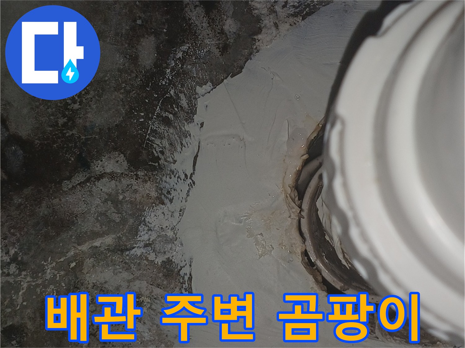 배관-연결부위-주변의-심한-습기와-검은-곰팡이