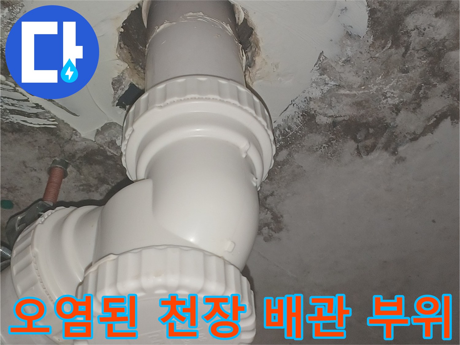 배수관 주변-심한 곰팡이와 물자국 확인