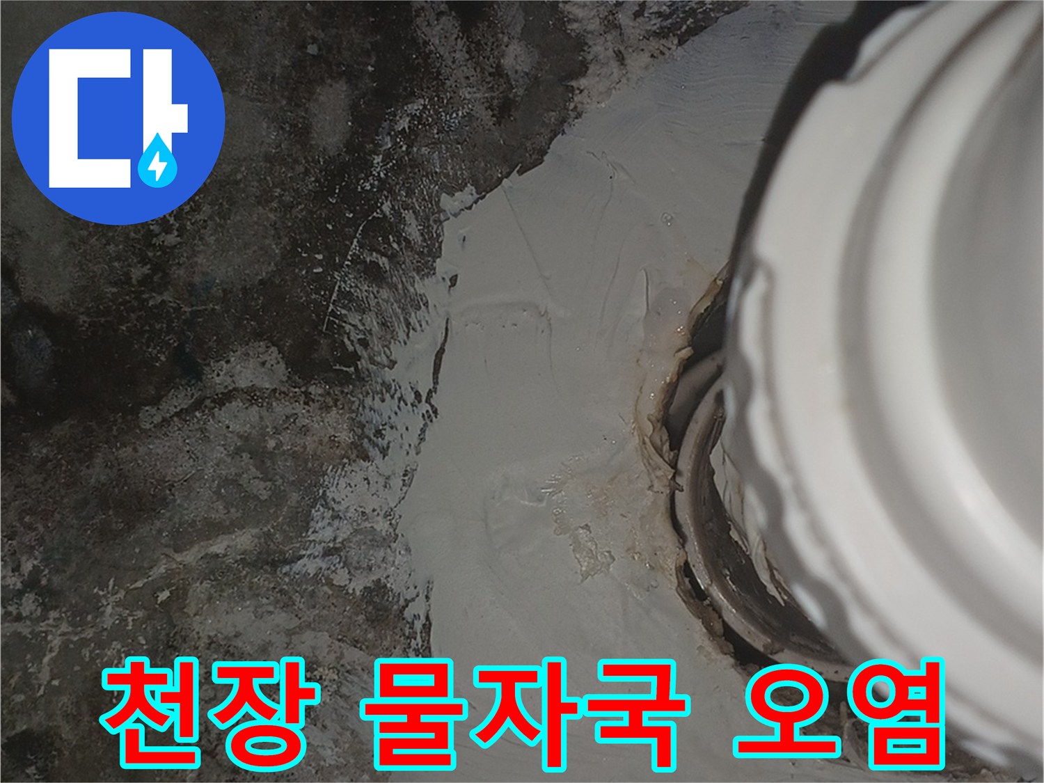 천장 배관 주위의 검은 곰팡이와 습한 마감재 상태