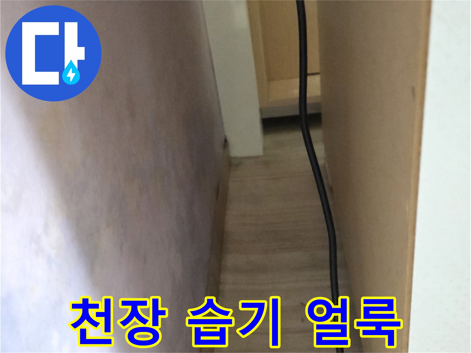 습기가 머금어진 천장-어둡게 변색된 벽지 영역